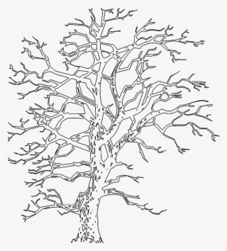 Tree Elevation PNG, Transparent Tree Elevation PNG Image Free Download ...