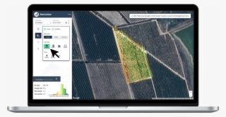 'tree Data' Shows The Individual Tree Insights Available #8618394 'tree Data' Shows The Individual Tree Insights Available #8618394