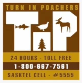 Man Fined 5k For Illegally Shooting Pregnant Moose - Turn In Poachers #8618396