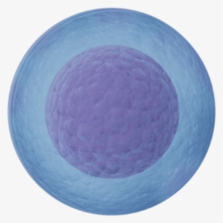 Connecting People To Improve Lives - Circle #8619032