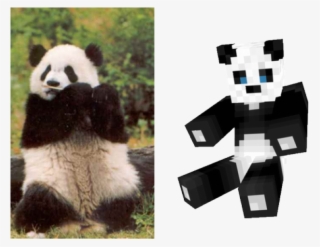 Drawn Red Panda Minecraft - Panda Poems #8619627