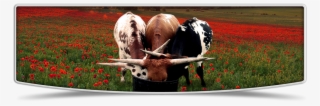 Lutt Longhorns 2015 Heifer Banner Image - Cattle #8619706