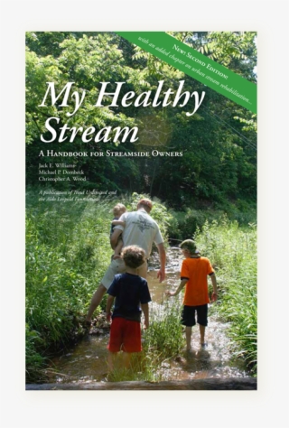 My Healthy Stream 2nd Ed Cover - Poster #8621198