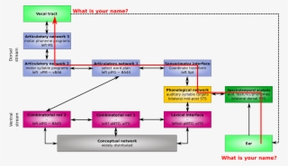 File - T16-dorsalrepetition - Modelo Hickok Y Poeppel #8621267