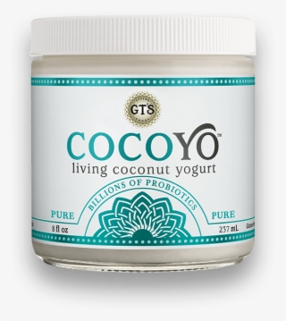 Cocoyo Living Coconut Yogurt #8621429