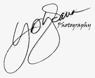 Professional Photographer - Line Art #8623876