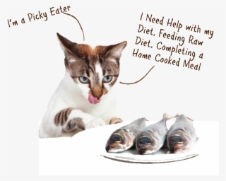 Cat Multivit - Cat Eat Fish #8626004