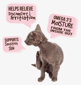 Skin &amp - Allergy - Children's Brain Tumor Foundation #8626180