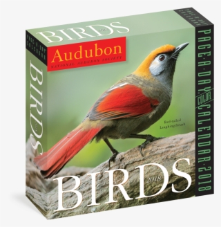 2018 Audubon Page A Day Calendar - Old World Flycatcher #8626899