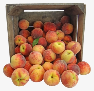 Peach Festivals, Bird Watches Highlighting This Weekend's - Caixote De Frutas Png #8626935