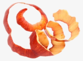 Download - Apple Skin #8628155