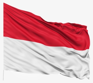 Indonasia - Illinois State Flag #8628445