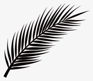 Picture - Palm Leaf Png Free #8630477