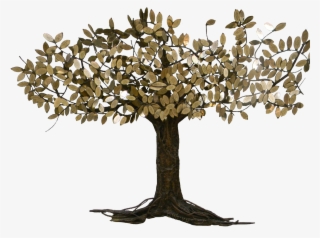 Plane-tree Family #8630772 Plane-tree Family #8630772