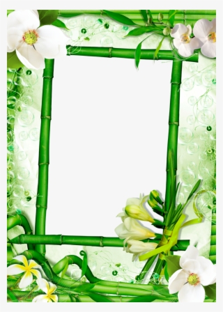 Forgetmenot - Lily Family #8631358