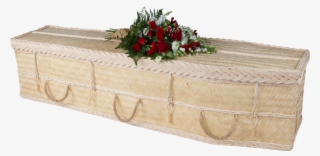 Garden Roses #8632085