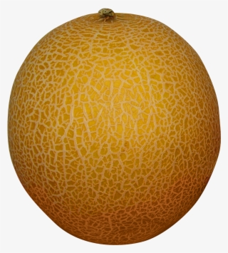 Melon Transparent Background Png #8632341