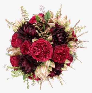 Red Red Wine - Garden Roses #8632748
