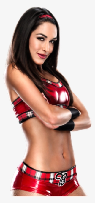 Report Abuse - Brie Bella 2k15 #8633452