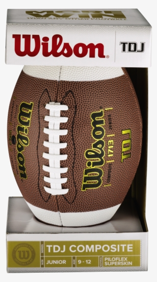 Wilson Nfl Junior Football With Pump And Tee #8633783