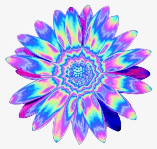 • Shapely Flower Holo Holographic Tumblr Vaporwave - African Daisy #8634168