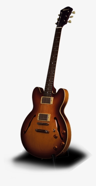 Fibonacci Tomcat - Electric Guitar #8635046