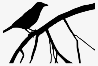 Crow, Raven, Bird, Black, Dark - Blackbird The Beatles #8636430