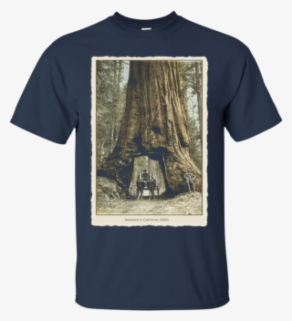 Vintage Redwood Forest , California Redwoods Trees - Boycott Israel Shirt #8636736