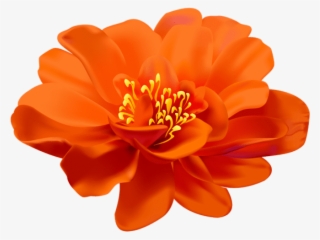 Free Png Download Flower Orange Transparent Png Images - Transparent Flower #8636738