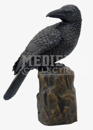 Raven Silhouette Perched - American Crow #8636877