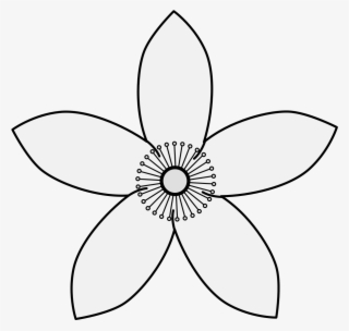 Details, Png - Flower White Icon Png #8636905