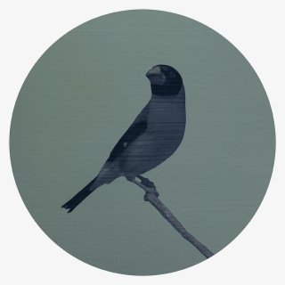 Raven Silhouette Png #8637003