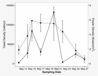 Temporal Variation In Yeast Cell And Flower (dashed #8637642