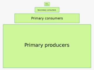 File - Ecological Pyramid - Svg - Ecological Pyramid #8638575