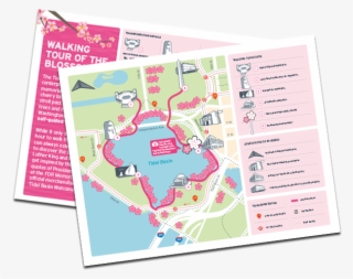Cherry Blossom Walking Tour Cover Graphic - Map #8639106