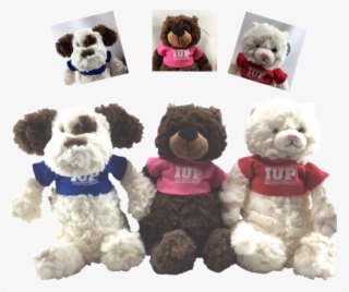 Stuffed Animal, Fuzzy Bunch With Iup T-shirt - Teddy Bear #8640153 Stuffed Animal, Fuzzy Bunch With Iup T-shirt - Teddy Bear #8640153
