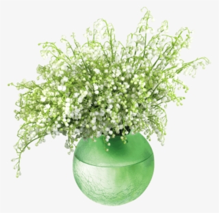 Free Png Download Lily Of The Valleyin Vase Png Images - Vase De Fleure Deco #8640235