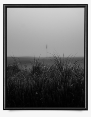 Fog Fescue Giclée Print - Monochrome #8640607