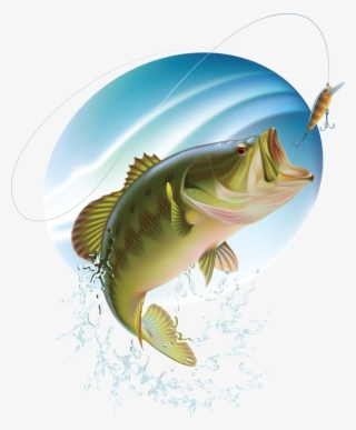 Bass Fishing Clipart Free #8641426