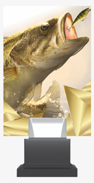 A New Standard Of Glass Trophies Mounted On An Elegant - Lunge #8641735