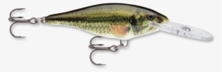 Rapala Shad Rap #8641796