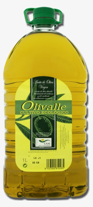 To Buy Organic Extra Virgin Olive Oil - Aceite De Oliva 5l #8642572