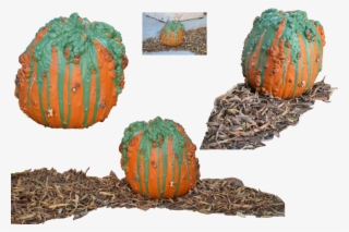 Warty Png Stock By Mom Espeace On - Pumpkin #8642996