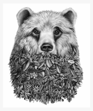 Back To Top - Realistic Bear Face Drawing #8643210