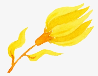 Golden Yellow Flower Cartoon Transparent - Sunflower #8643320