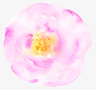 Card Decoration Flower Cartoon Transparent - Moth Orchid #8643376