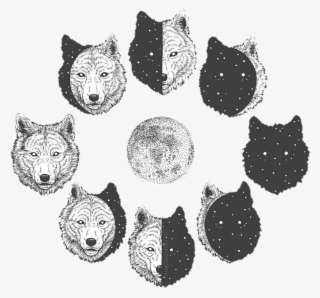 Wolf Aesthetic Tumblr - Wolf And Moon Drawing #8643725