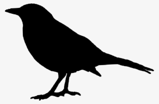Vector Graphics,free Pictures, Free Photos, - Crow Silhouette #8643791 Vector Graphics,free Pictures, Free Photos, - Crow Silhouette #8643791