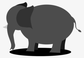 5 - Indian Elephant #8644119