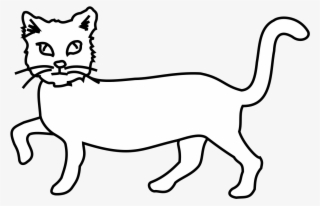 Jumping Cat Images - Domestic Short-haired Cat #8646256